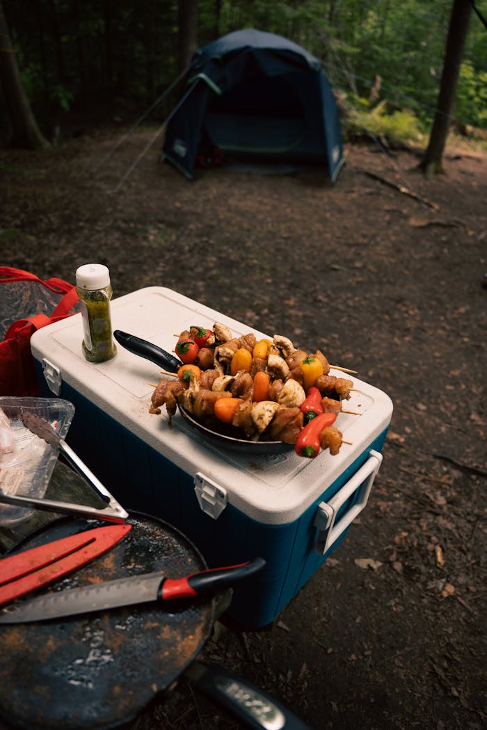 Home Sizzling skewers on a cooler at a forest campsite, perfect for adventure lovers.