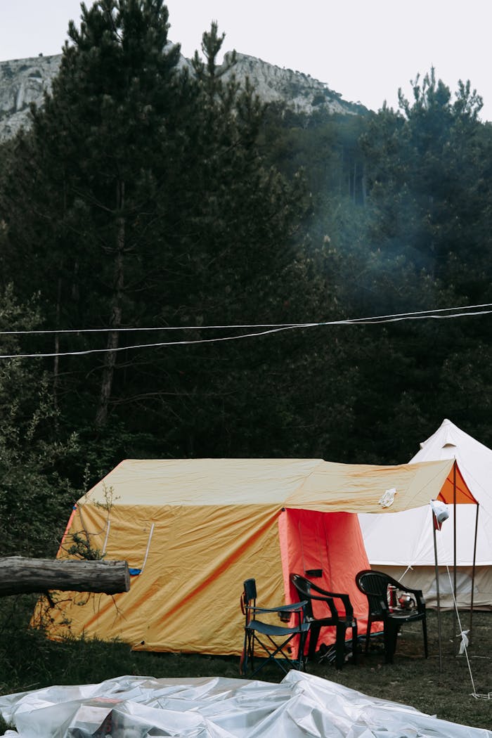 Home Vibrant tents set up in a lush forest, perfect for a peaceful outdoor camping experience.